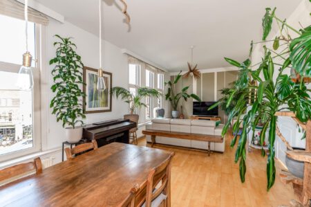 Abeelstraat 6, ‘s-gravenhage