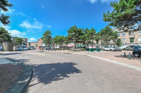 Pluvierstraat 276, ‘s-gravenhage