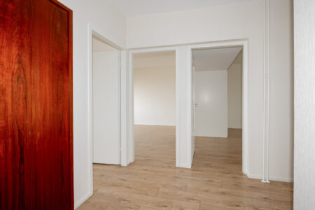 Forellendaal 736, ‘s-gravenhage