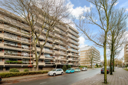 Theo Mann-Bouwmeesterlaan 602, ‘s-gravenhage