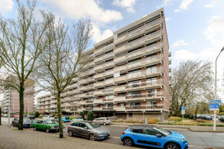 Theo Mann-Bouwmeesterlaan 602, ‘s-gravenhage